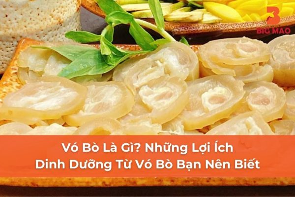 Vó Bò Là Gì? Những Lợi Ích Dinh Dưỡng Từ Vó Bò Bạn Nên Biết